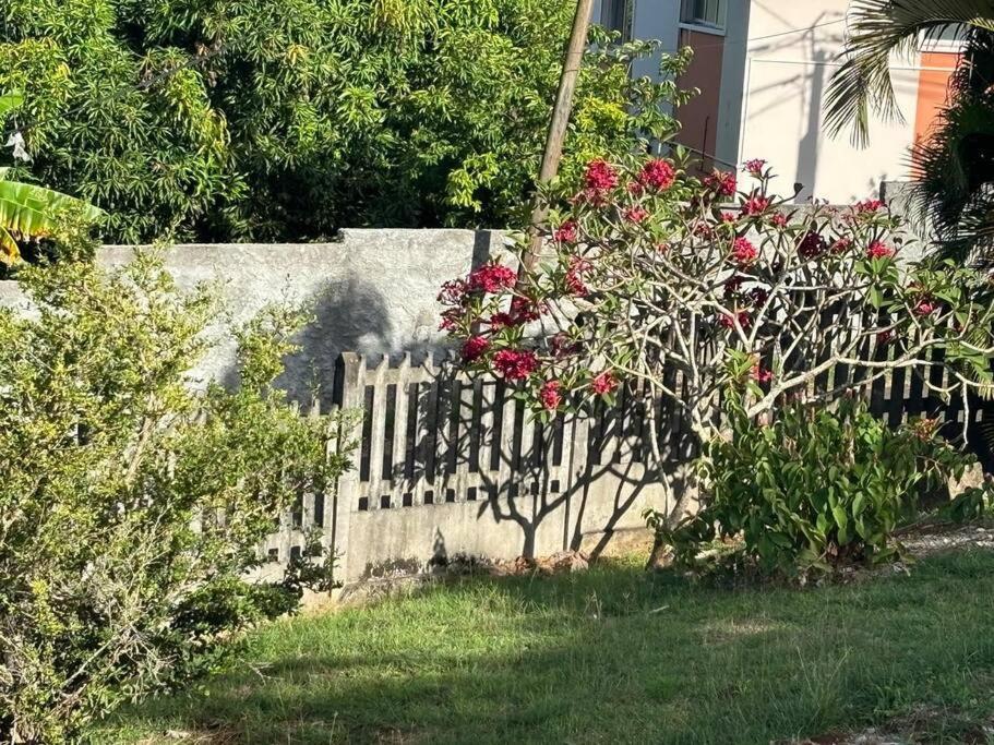 Villa Noo La 勒罗贝尔 外观 照片